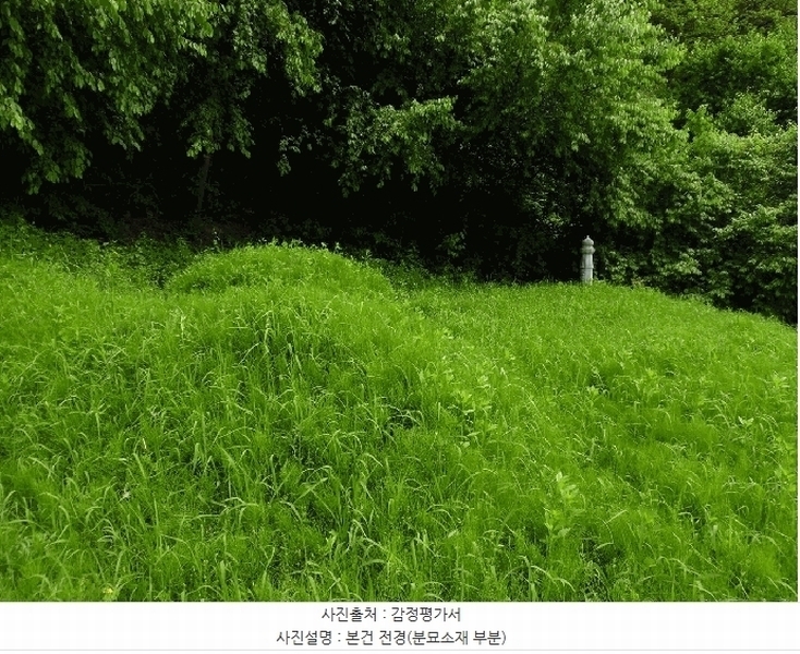 2025타경2237 경기도 파주시 법원읍 가야리 367 대지 경매 이미지