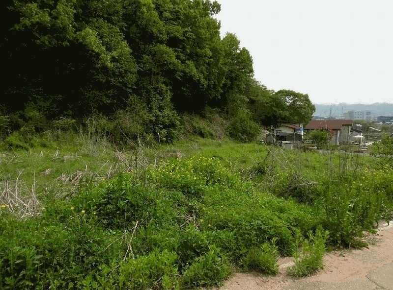 2025타경2237 경기도 파주시 법원읍 가야리 367 대지 경매 이미지