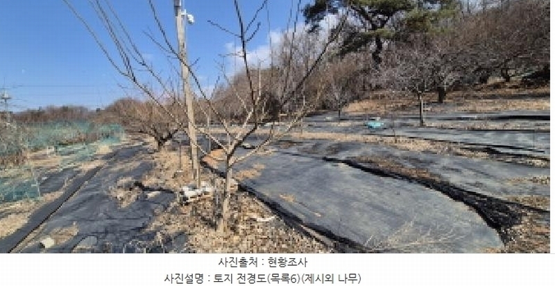 2025타경62347 경기도 고양시 덕양구 오금동 210-3 주택 경매 이미지