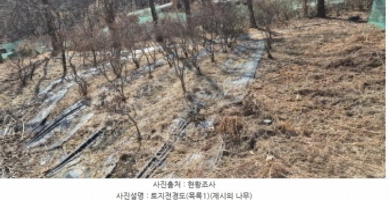 2025타경62347 경기도 고양시 덕양구 오금동 210-3 주택 경매 이미지