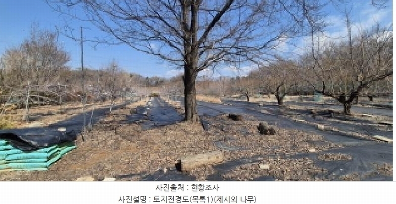 2025타경62347 경기도 고양시 덕양구 오금동 210-3 주택 경매 이미지