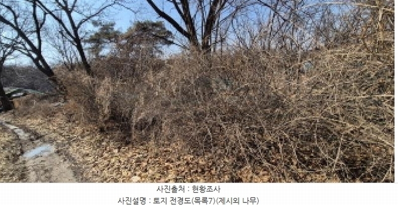 2025타경62347 경기도 고양시 덕양구 오금동 210-3 주택 경매 이미지