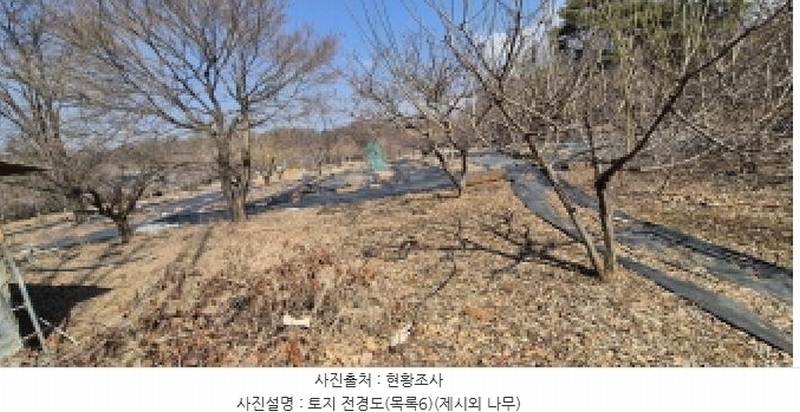 2025타경62347 경기도 고양시 덕양구 오금동 210-3 주택 경매 이미지