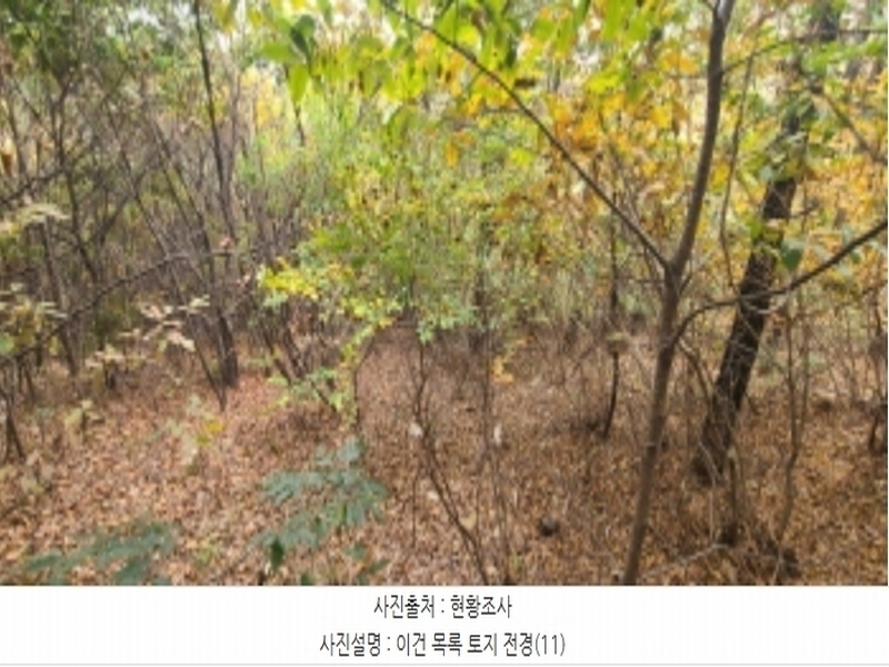 2024타경83031 경기도 파주시 월롱면 덕은리 산180-4 임야 경매 이미지