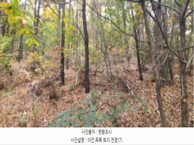 2024타경83031 경기도 파주시 월롱면 덕은리 산180-4 임야 경매 이미지