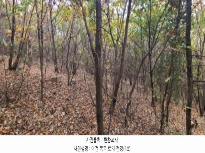 2024타경83031 경기도 파주시 월롱면 덕은리 산180-4 임야 경매 이미지