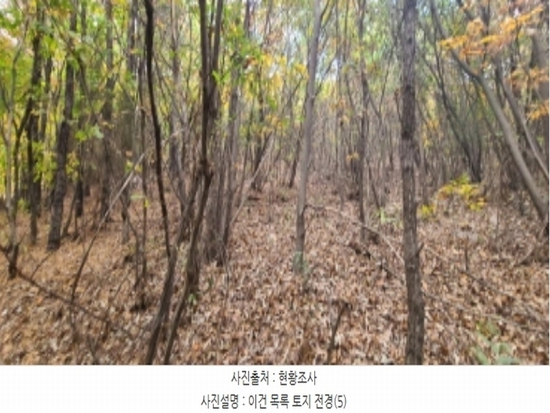 2024타경83031 경기도 파주시 월롱면 덕은리 산180-4 임야 경매 이미지