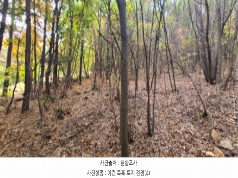 2024타경83031 경기도 파주시 월롱면 덕은리 산180-4 임야 경매 이미지