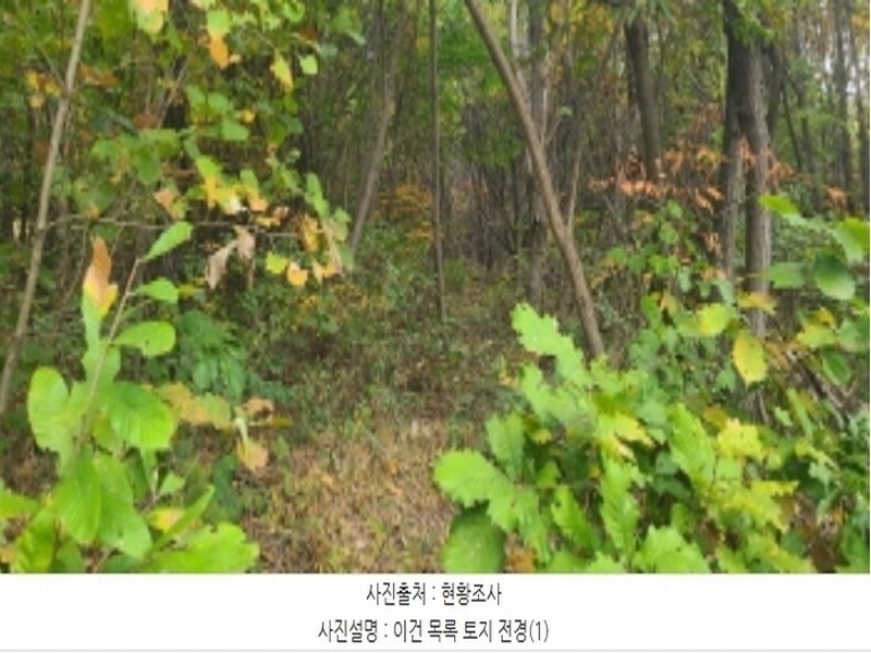 2024타경83031 경기도 파주시 월롱면 덕은리 산180-4 임야 경매 이미지