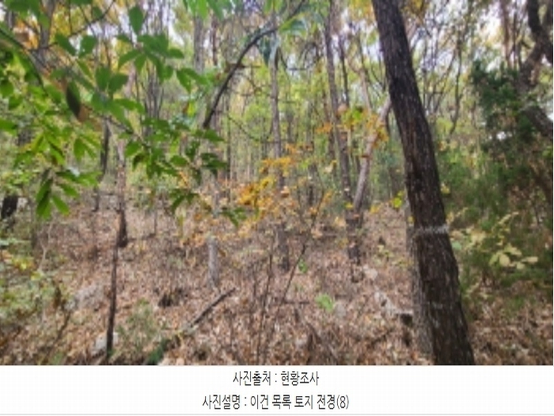 2024타경83031 경기도 파주시 월롱면 덕은리 산180-4 임야 경매 이미지