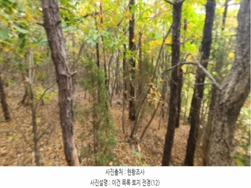 2024타경83031 경기도 파주시 월롱면 덕은리 산180-4 임야 경매 이미지