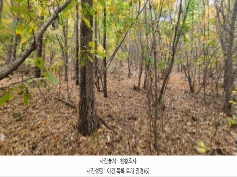 2024타경83031 경기도 파주시 월롱면 덕은리 산180-4 임야 경매 이미지