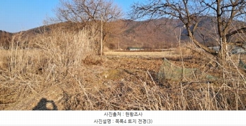 2025타경1005 경기도 파주시 파평면 덕천리 31-10 농지 경매 이미지