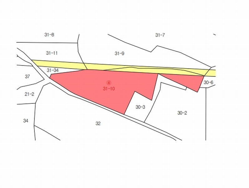 2025타경1005 경기도 파주시 파평면 덕천리 31-10 농지 경매 이미지