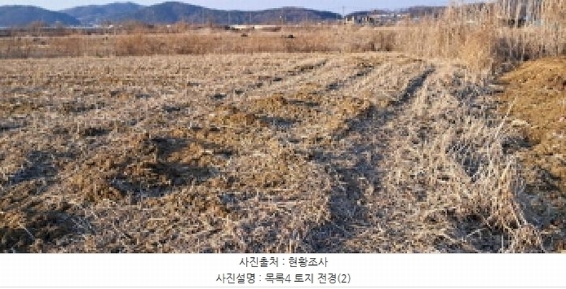2025타경1005 경기도 파주시 파평면 덕천리 31-10 농지 경매 이미지