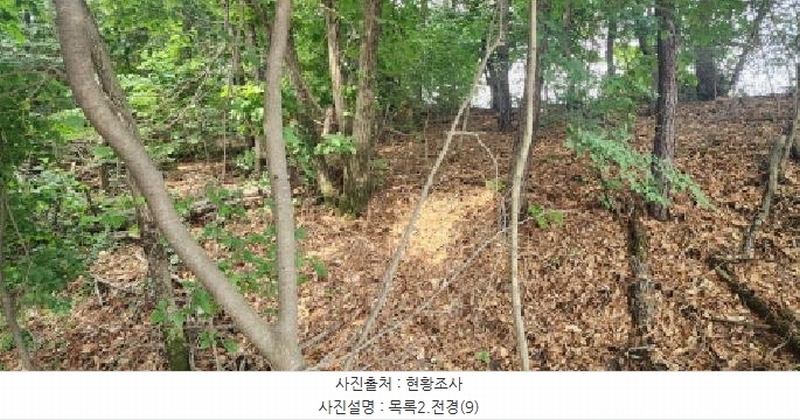 2025타경2930 경기도 파주시 문산읍 사목리 342-19 임야 경매 이미지