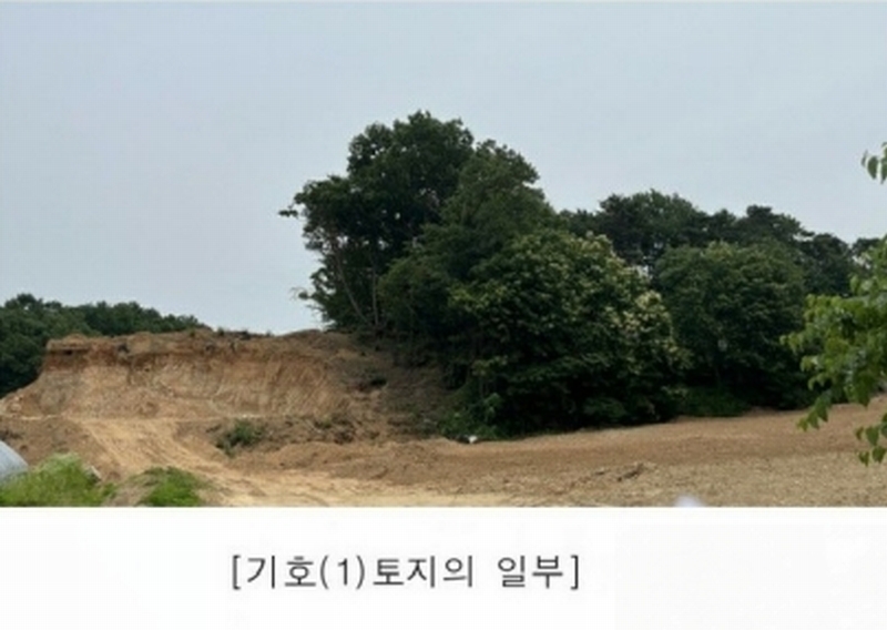 2025타경2930 경기도 파주시 문산읍 사목리 342-19 임야 경매 이미지
