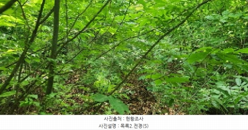 2025타경2930 경기도 파주시 문산읍 사목리 342-19 임야 경매 이미지