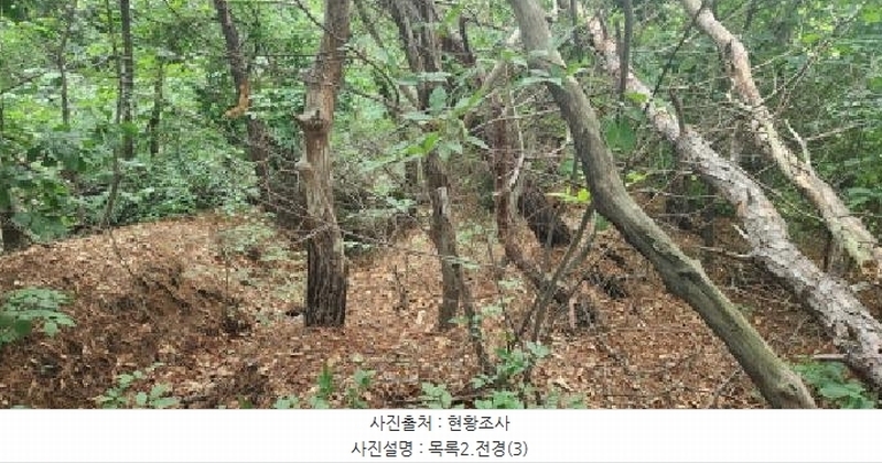 2025타경2930 경기도 파주시 문산읍 사목리 342-19 임야 경매 이미지