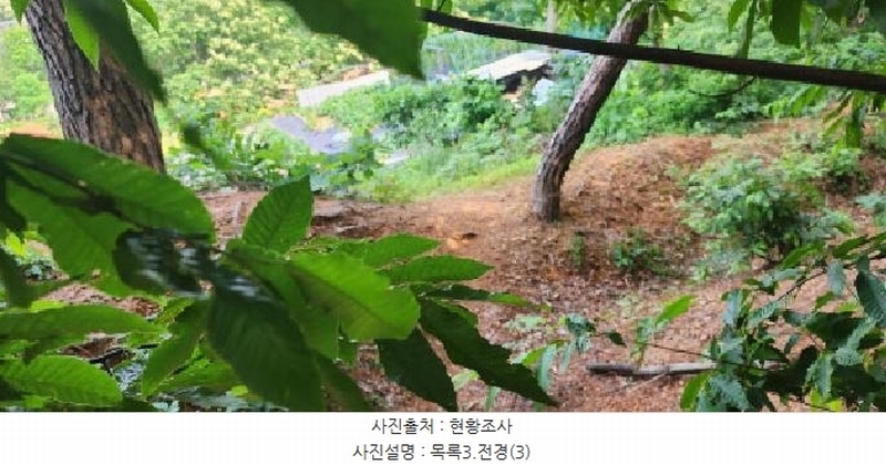 2025타경2930 경기도 파주시 문산읍 사목리 342-19 임야 경매 이미지