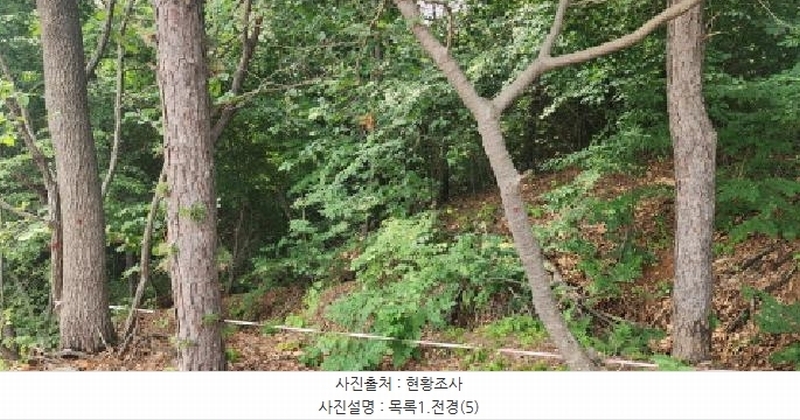 2025타경2930 경기도 파주시 문산읍 사목리 342-19 임야 경매 이미지
