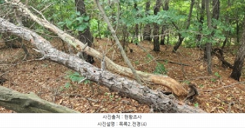 2025타경2930 경기도 파주시 문산읍 사목리 342-19 임야 경매 이미지