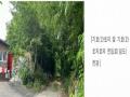 2025타경2930 경기도 파주시 문산읍 사목리 342-19 임야 경매 이미지