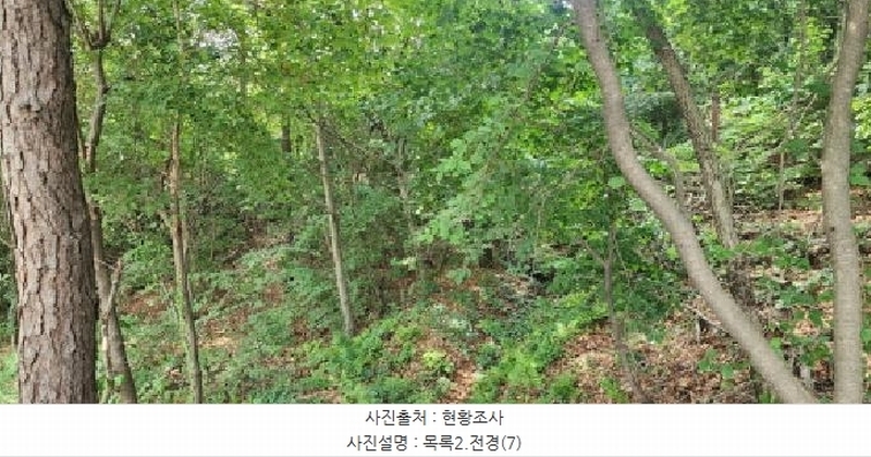 2025타경2930 경기도 파주시 문산읍 사목리 342-19 임야 경매 이미지