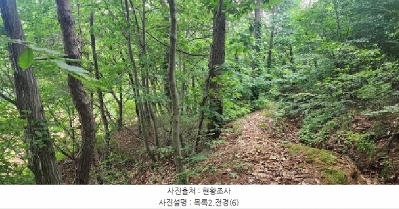 2025타경2930 경기도 파주시 문산읍 사목리 342-19 임야 경매 이미지