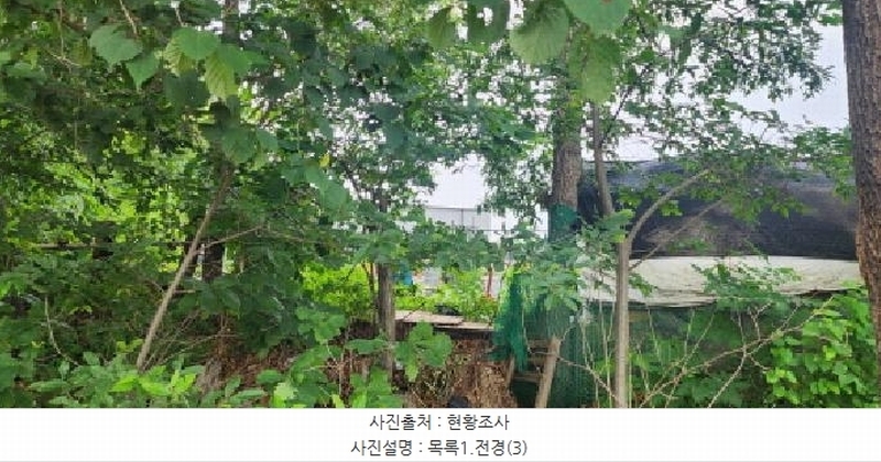 2025타경2930 경기도 파주시 문산읍 사목리 342-19 임야 경매 이미지