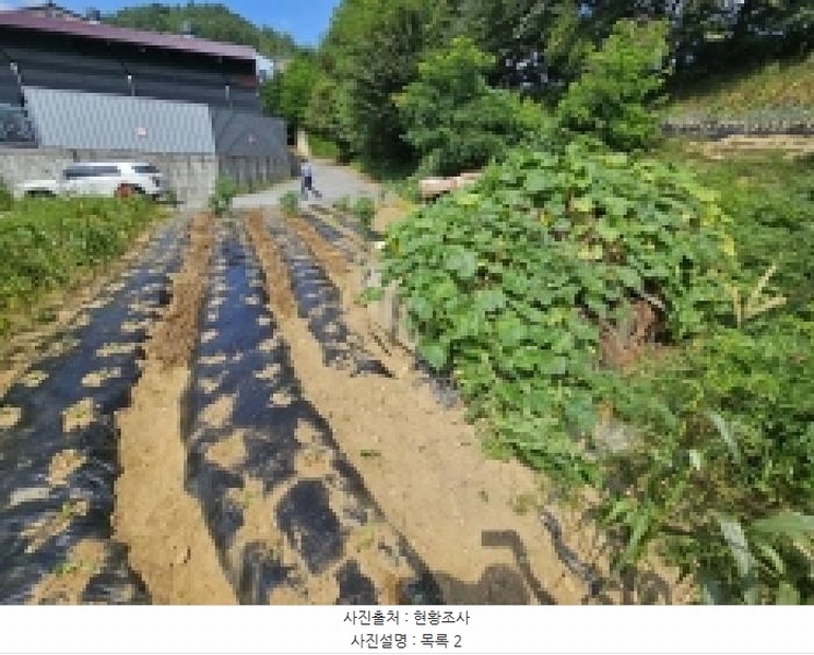 2025타경5397 충청북도 제천시 하소동 107-4 농지 경매 이미지