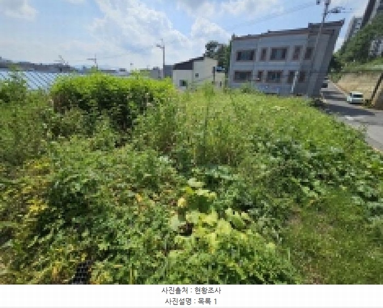 2025타경5397 충청북도 제천시 하소동 107-4 농지 경매 이미지