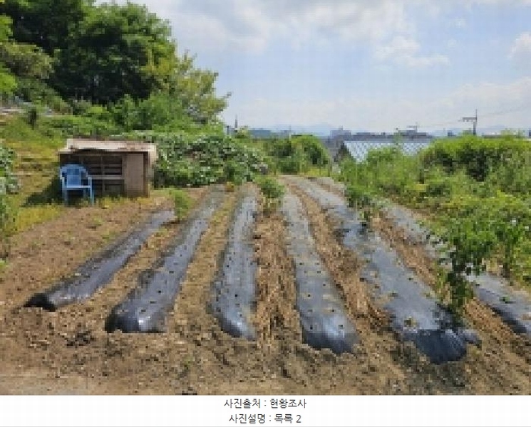 2025타경5397 충청북도 제천시 하소동 107-4 농지 경매 이미지