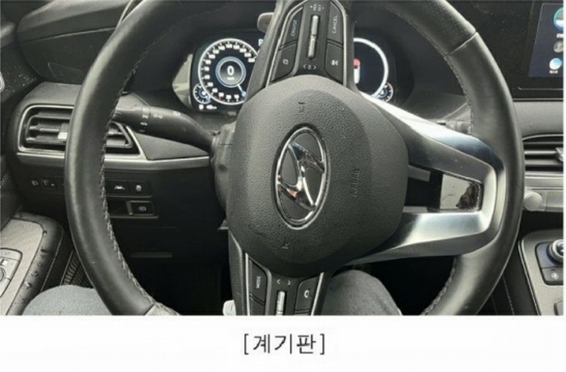 2025타경6888 경기도 파주시 조리읍 능안리 239 팰리세이드(PALISADE) 경매 이미지