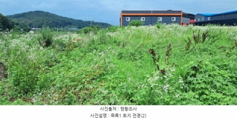 2025타경63520 경기도 파주시 파주읍 향양리 199-1 농지 경매 이미지