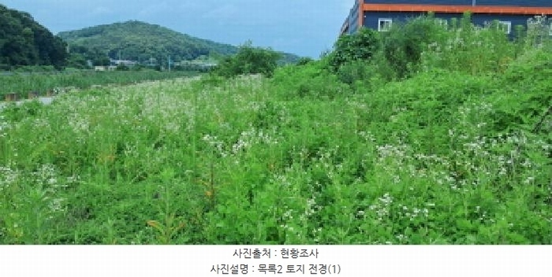2025타경63520 경기도 파주시 파주읍 향양리 199-1 농지 경매 이미지