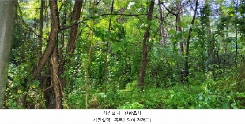 2025타경63595 경기도 고양시 덕양구 대자동 산103 임야 경매 이미지