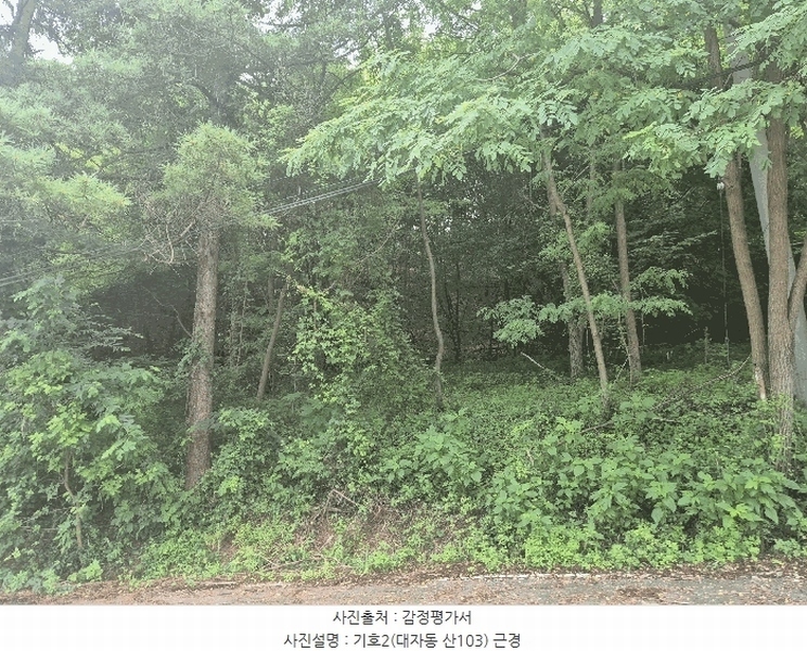 2025타경63595 경기도 고양시 덕양구 대자동 산103 임야 경매 이미지