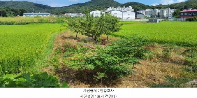 2025타경63989 경기도 고양시 덕양구 내유동 234-3 농지 경매 이미지
