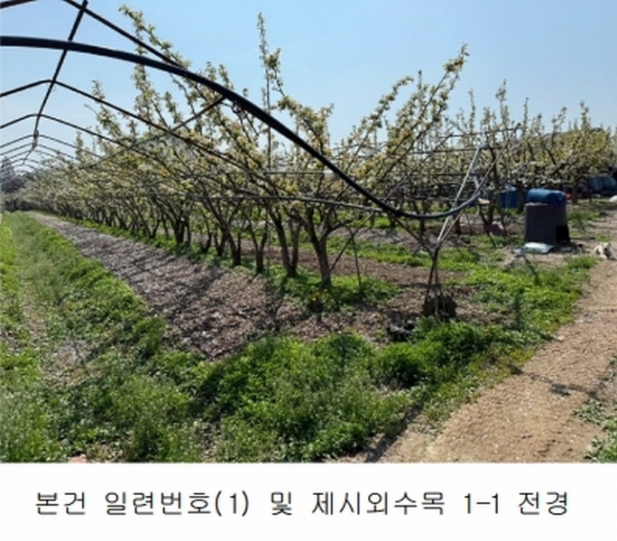 2021타경6774 경기도 고양시 덕양구 화정동 811-6 농지 경매 이미지