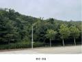 2022타경4591 경기도 파주시 탄현면 성동리 산60-5 임야 경매 이미지