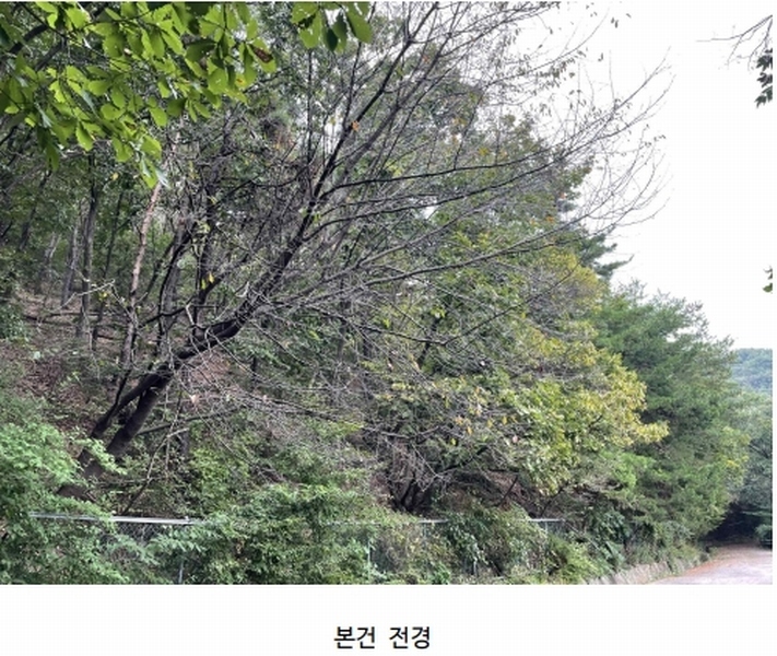 2022타경4591 경기도 파주시 탄현면 성동리 산60-5 임야 경매 이미지