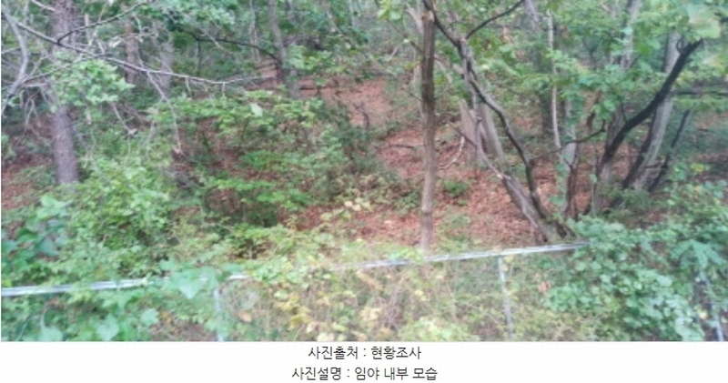 2022타경4591 경기도 파주시 탄현면 성동리 산60-5 임야 경매 이미지