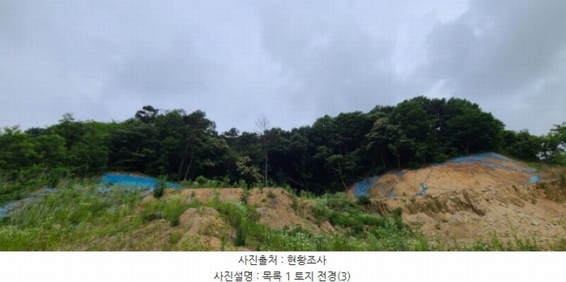 2024타경71816 경기도 파주시 문산읍 이천리 289-16 임야 경매 이미지