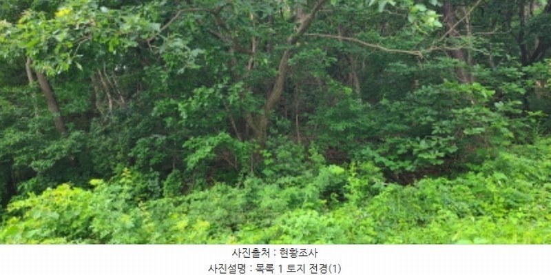 2024타경71816 경기도 파주시 문산읍 이천리 289-16 임야 경매 이미지