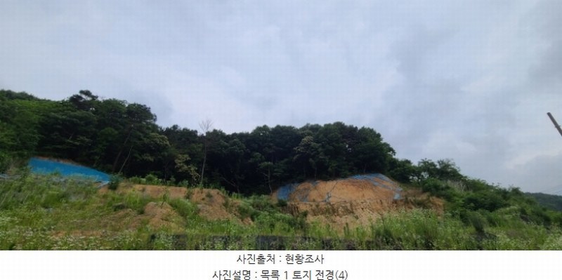 2024타경71816 경기도 파주시 문산읍 이천리 289-16 임야 경매 이미지