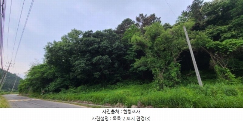 2024타경71816 경기도 파주시 문산읍 이천리 289-16 임야 경매 이미지