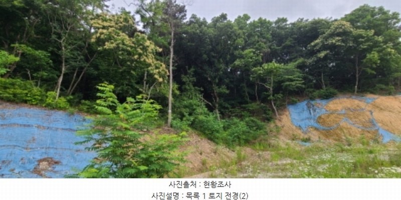 2024타경71816 경기도 파주시 문산읍 이천리 289-16 임야 경매 이미지