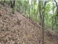 2024타경79599 경기도 고양시 덕양구 용두동 62-1 임야 경매 이미지