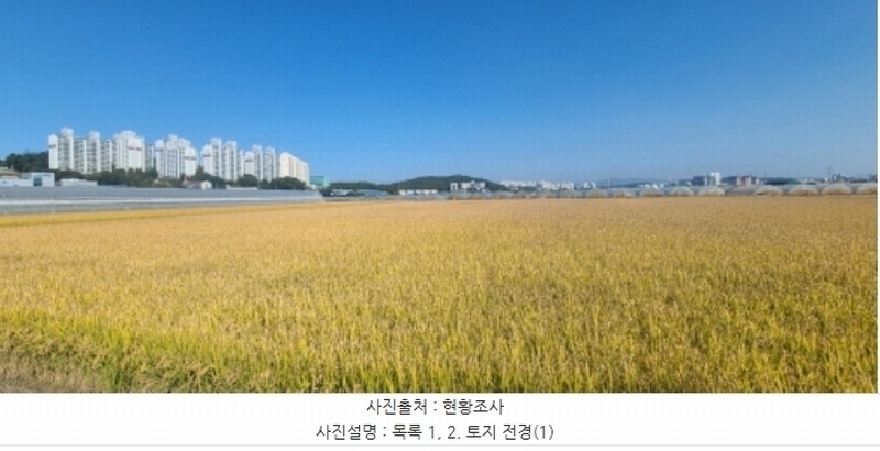 2024타경81899 경기도 파주시 검산동 838 농지 경매 이미지